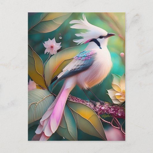 白冠のほほえみ尾のカヤクバト幻想の鳥 ポストカード (正面)