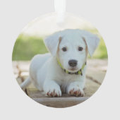 白前印刷赤犬の写真年 オーナメント (裏面)