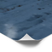 白北極キツネ ポスター (コーナー)