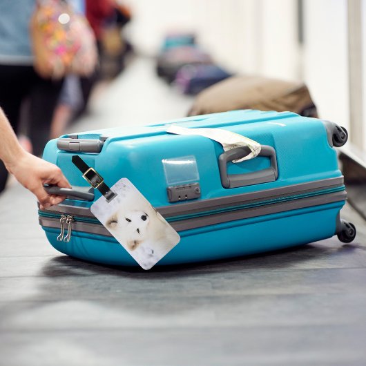 白北極狐の雪可愛いパーソナライズされた動物 ラゲッジタグ