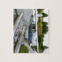 白及び海軍浮遊物の飛行機、アラスカ