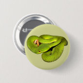 白唇があるピット毒蛇 缶バッジ (正面&裏面)