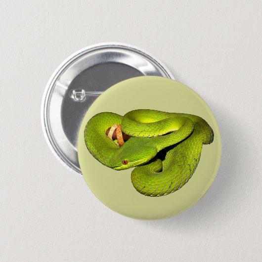 白唇があるピット毒蛇 缶バッジ (正面&裏面)