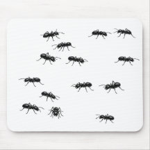 白地に黒いアリ