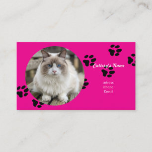 白地用ピンクの名刺 名刺