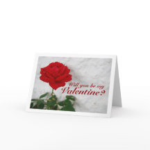 白壁に赤いバラ