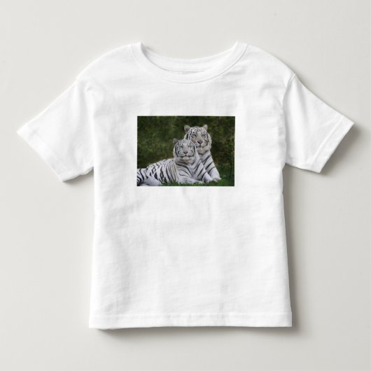 白変種 ベンガルトラ トドラーTシャツ (正面)