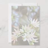 白多肉性フローラ背景ブライダルシャワー 招待状 (裏面)