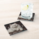 白威厳のある猫 ガラスコースター (アングル)