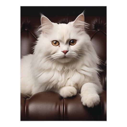 白威厳のある猫 フォトプリント            (正面)