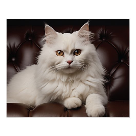 白威厳のある猫 ポスター (正面)
