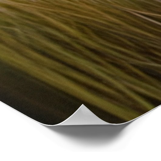 白威厳のある獅子エーテル美術 ポスター (角)