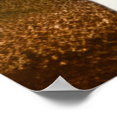 白威厳のある色の目を違う持つライオン ポスター (角)