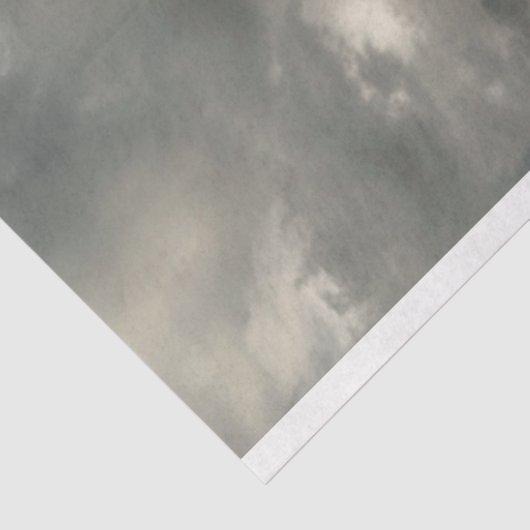 白威厳のある馬の切り離 薄葉紙 (詳細)