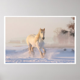 白威厳のある馬ポートレート ポスター