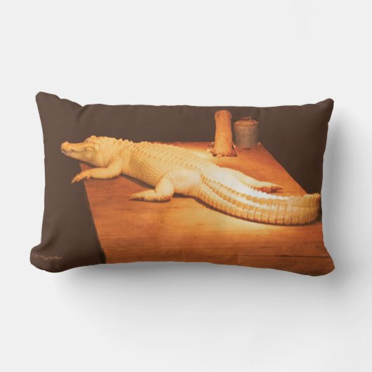 白子のわに枕 ランバークッション (正面)