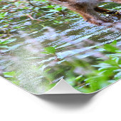 白尾の子豚の飲料写真の拡大 フォトプリント            (角)