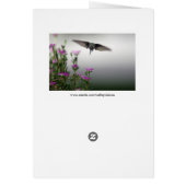 白尾の鹿があなたを見て（クローズアップ） (裏面)