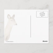 白尾の鹿があなたを見て（クローズアップ） ポストカード (裏面)