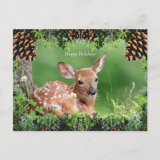 白尾の鹿の子鹿のクリスマスカード シーズンポストカード (正面)