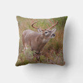 白尾の鹿の秋テキサス州 クッション (裏面)