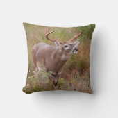 白尾の鹿の秋テキサス州 クッション (正面)