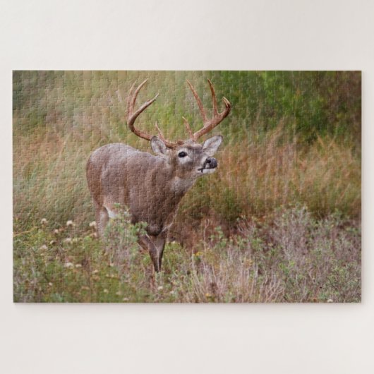 白尾の鹿の秋テキサス州 ジグソーパズル (横)