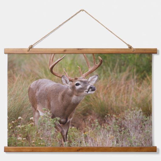 白尾の鹿の秋テキサス州 吊り下げ型タペストリー (正面)