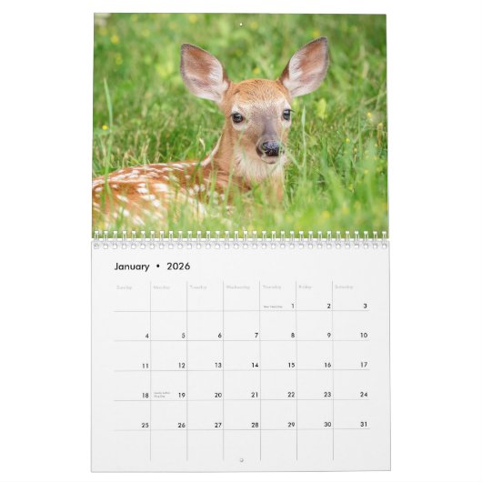 白尾の鹿2026 カレンダー (1月 2026)