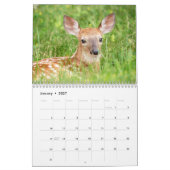 白尾の鹿2026 カレンダー (1月 2027)