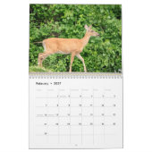白尾の鹿2026 カレンダー (2月 2027)