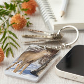 白尾の鹿（クローズアップ） キーホルダー (正面右)