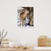 白尾の鹿（クローズアップ） ポスター (キッチン)