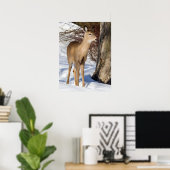 白尾の鹿（クローズアップ） ポスター (ホームオフィス)