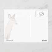 白尾の鹿（クローズアップ） ポストカード (裏面)