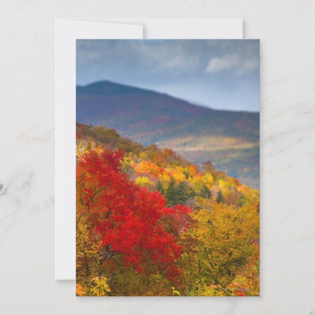 白山国有林 (正面)