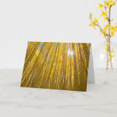 白川国有林 カード (黄色い花)