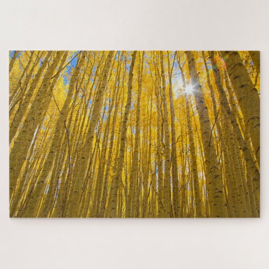 白川国有林 ジグソーパズル (横)