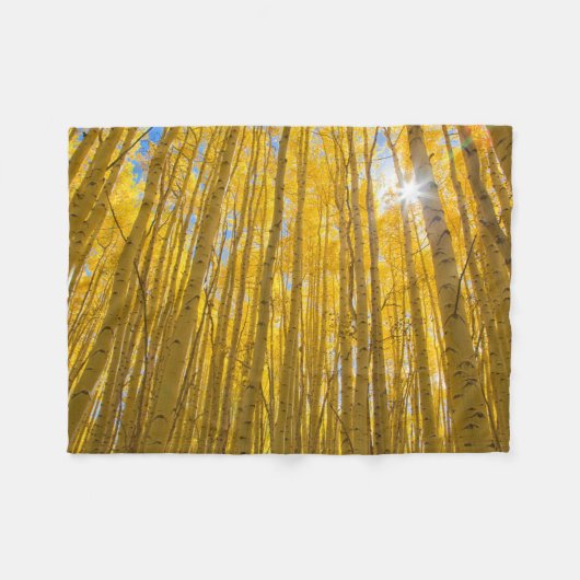 白川国有林 フリースブランケット (正面(横))