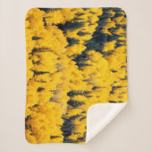 白川国有林 |《植物》アスペン、カラダ シェルパブランケット (正面)