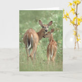白後につかれたシカの母および子鹿 カード (黄色い花)