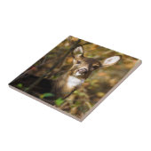 白後につかれたシカの陶磁器の写真のタイル タイル (側面)