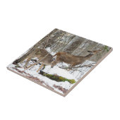 白後につかれたシカの陶磁器の写真のタイル タイル (側面)