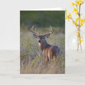 白後につかれたシカのOdocoileusのvirginianus) 2 カード (黄色い花)