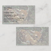 白後につかれたシカ 名刺 (正面/裏面)