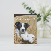 白恋しく思黒の可愛いワンちゃん写真カスタム ポストカード (スタンド正面)