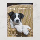 白恋しく思黒の可愛いワンちゃん写真カスタム ポストカード (正面)