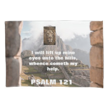 白想像、ライオン、献身、聖書