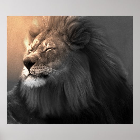 白感じい光 ポスター (正面)