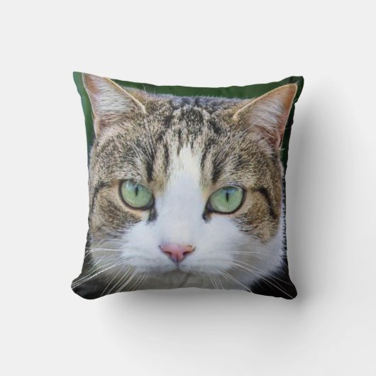 白斑の猫 – 猫好き クッション (正面)